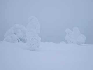 DSCF0296.JPG