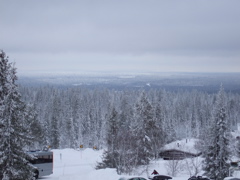 DSCF0303.JPG