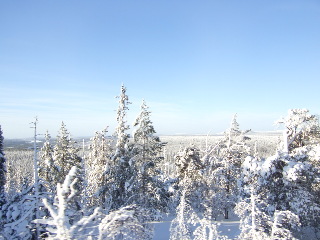 DSCF0319.JPG