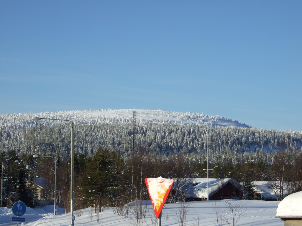 DSCF0310.JPG