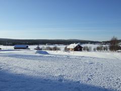 DSCF0316.JPG