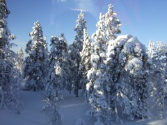 DSCF0317.JPG