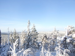 DSCF0319.JPG