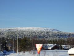 DSCF0310.JPG
