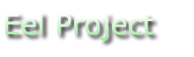 Eel Project